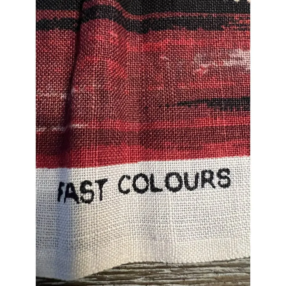 NWOT Vintage Tea Towel Kitchen Souvenir Irish Cabin Victorian Boy A32-9 #